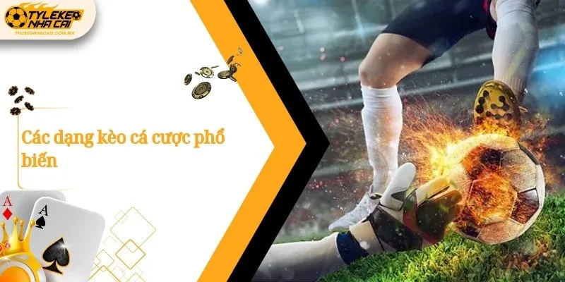 Các dạng kèo cá cược phổ biến